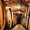 Weinfässer im Keller,