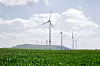 Windkraftanlagen auf grüner Wiese,